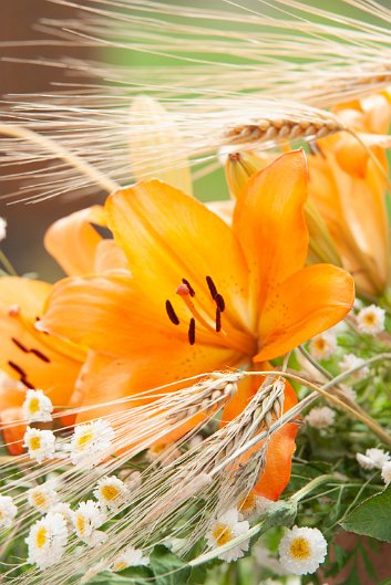 Hochzeit-David-Janina-00001